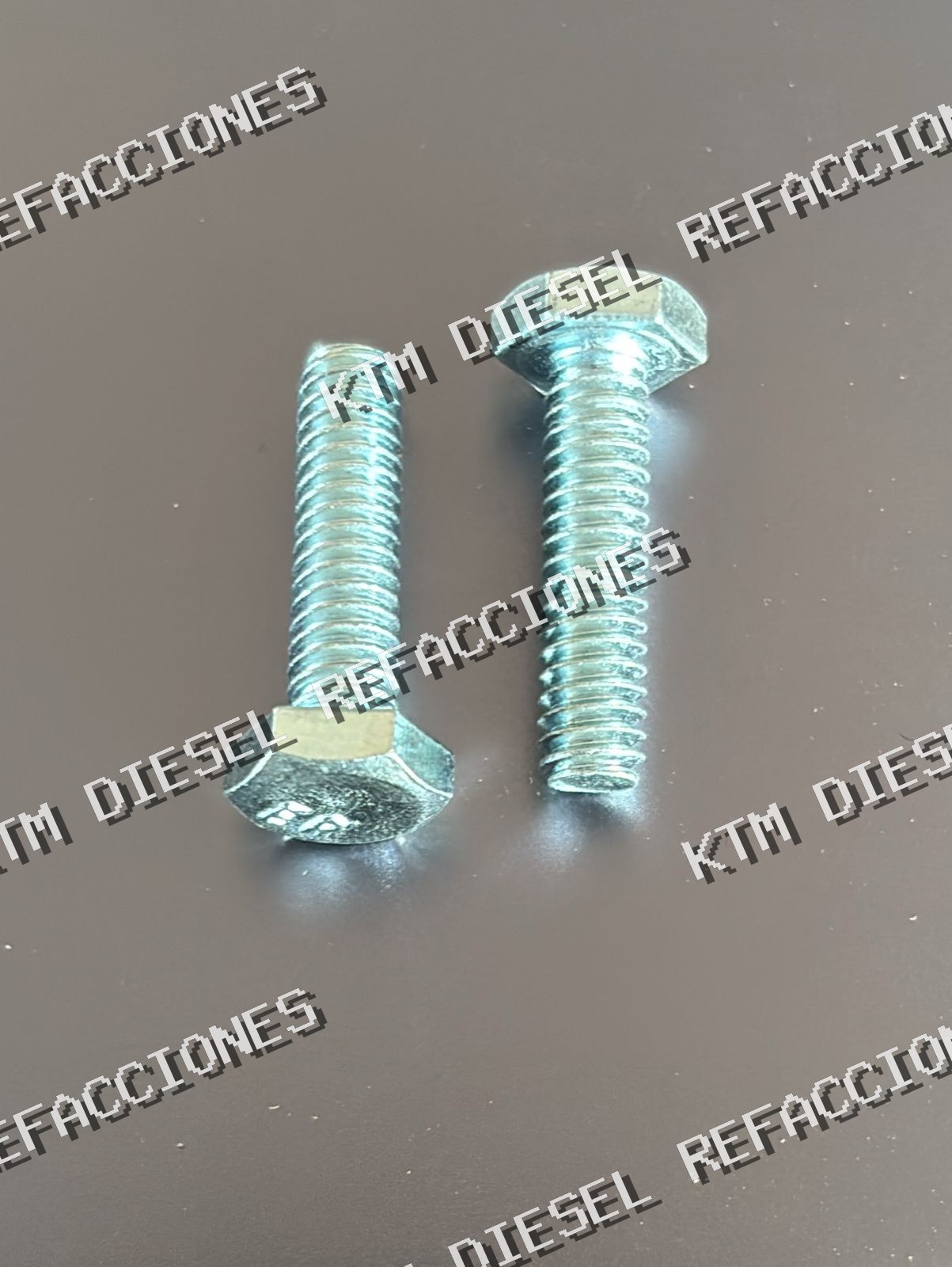 TORNILLO GALVANIZADO 1/4 x 1" ESTANDAR 